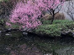 景点-静安雕塑公园