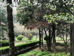 -上海佘山国家森林公园天马山园