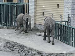 -哈尔滨北方森林动物园