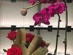 -green essence 青籁优体(三里屯店)