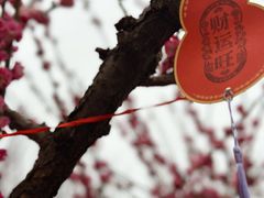 -相门城墙文化休闲景区