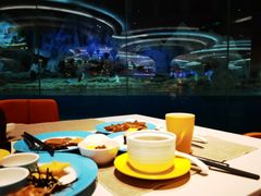 -帝企鹅自助餐厅•儿童岛•真企鹅(长隆企鹅酒店)