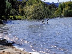 -济南国际园博园