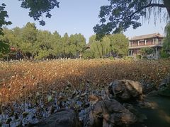 -莲池书院博物馆