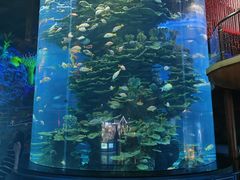 -泉城欧乐堡海洋极地世界