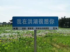 -洪湖生态旅游区