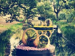 -上海共青森林公园