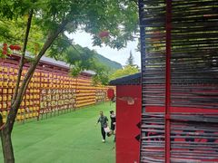 -九女仙湖景区