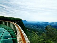 -蜀南竹海景区