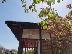 -北京世界公园
