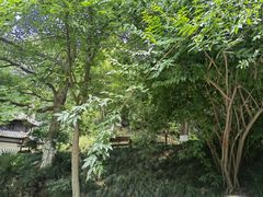 -古隆中景区