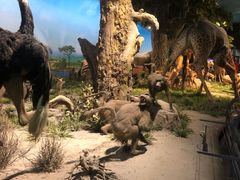 -国家自然博物馆