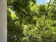 -湖北美术学院(昙华林校区)