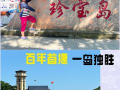 -珍宝岛