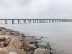 -宝安西湾红树林湿地公园