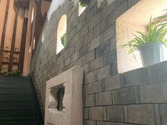 -挂旗柴锅鸡(蚌山区嘉年华店)
