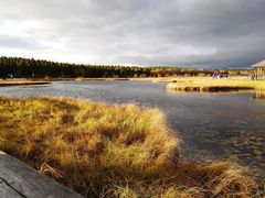 -塞罕坝国家级自然保护区