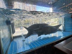 -浔味·山屿湖·正宗淳牌全鱼宴老字号