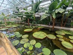 -国家植物园南园