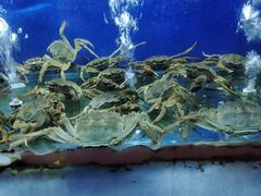 -同福小馆(北摆宴街店)