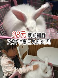 -萌兔星空蹦床撸兔馆