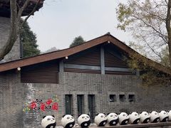 -都江堰中华大熊猫苑