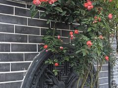 -九尺赵老四鲜鹅肠火锅