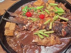 -老板恋上鱼(恒隆广场店)