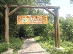 -江苏三台山国家森林公园