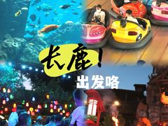 -长鹿旅游休博园