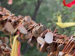 景点-云台山风景名胜区