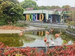 -常州淹城野生动物世界