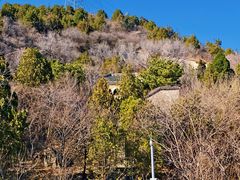 -白水寺森林公园