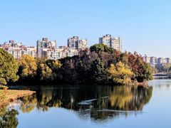 -新江湾城公园