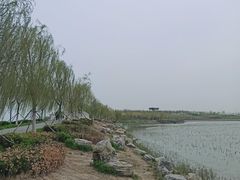 -天津东丽湖风景区