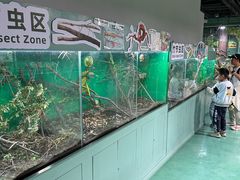 -上海大自然野生昆虫馆(东方明珠·爬宠昆虫探索中心)