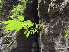 -南京市无想山景区