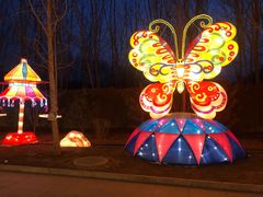 -南宫五洲植物乐园