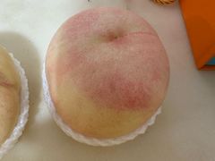 -老袁家蜜桃农场·阳山水蜜桃