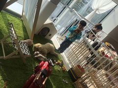 -Barbe a papa亲子餐厅(杨浦店)