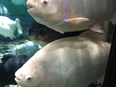 -成都浩海立方海洋公园