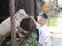 -小鱼草莓采摘园农家乐·小鱼餐厅