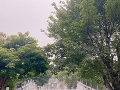 -龙潭水乡