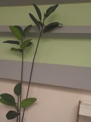 -功夫肩颈先柚美容养生