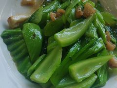 生炒水东芥-明本湛江鸡•海鲜小厨(陈家祠店)