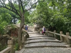 -灵岩山风景区