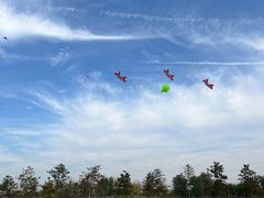 -汉长安城未央宫国家考古遗址公园