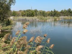 -野鸭湖国家湿地公园