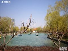 -康庄公园