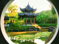 -西溪国家湿地公园